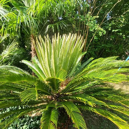 Seaside Homestead Molk With Private Pool Semesterbostad *