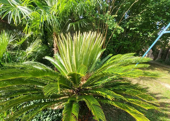 Seaside Homestead Molk With Private Pool Casa de Férias *